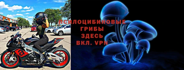 хмурый Михайлов