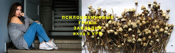 стафф Мегион