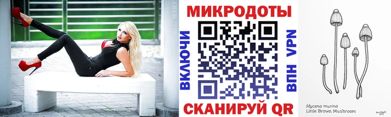 Галлюциногенные грибы MAGIC MUSHROOMS  Купить закладки  Малая Вишера 